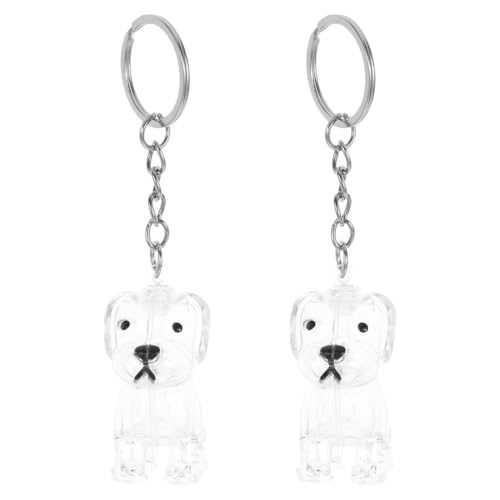 UPKOCH 4-teiliges Andenken an Hundehaare: Transparenter Schlüsselanhänger zum Sammeln von Hundehaaren – Behälterflasche zum Gedenken an Haustiere für emotionale Verbindung, Taschenanhänger, von UPKOCH