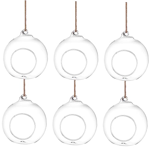 UPKOCH 6 Stück Hydroponische Glasvase Pflanzenlicht Deckel Geräte Pflanzenständer Led Halter Realistische Künstliche Wandreben Mit Blumen Wandpflanzer Wasserdicht Tür Einzel Luft Hanfseil von UPKOCH
