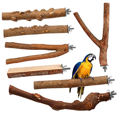 UPKOCH 7Stücke Teiliges Papageien aus Naturholz Vogelstangen für Käfige Einfache Installation für Wellensittiche und Andere UPKOCH 7Stücke Teiliges Papageien aus Naturholz Vogelstangen für Käfige Einfache Installation für Wellensittiche und Andere von UPKOCH