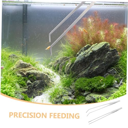 UPKOCH 8 Stück Teiliges Edelstahl Aquarium Futterzangen Lange Gerade und Gebogene Pinzetten für Präzises Füttern von Reptilien Aquarienpflanzen und Terrarien Rostfrei Ergonomisch UPKOCH 8 Stück Teiliges Edelstahl Aquarium Futterzangen Lange Gerade und Gebogene Pinzetten für Präzises Füttern von Reptilien Aquarienpflanzen und Terrarien Rostfrei Ergonomisch von UPKOCH