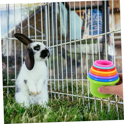 UPKOCH 8 Stück Teiliges Kaninchen Stapelbecherspielzeug Bunte Futterbecher für Kleintiere Interaktives Hasenspielzeug zur Beschäftigung und Futterversteck Geeignet für Wiederverwendbar UPKOCH 8 Stück Teiliges Kaninchen Stapelbecherspielzeug Bunte Futterbecher für Kleintiere Interaktives Hasenspielzeug zur Beschäftigung und Futterversteck Geeignet für Wiederverwendbar von UPKOCH