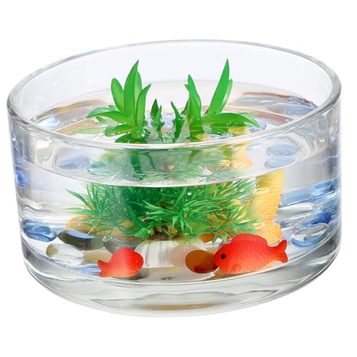 UPKOCH Blumentopf Aus Glas Wasserlily Bowl Terrarienglas Pflanzerschale Luftpflanzen Schale Vase Dekoration Aquarium Anlage Klarer Übertopf Für Aquarien Runden Schüssel Einzel Transparent UPKOCH Blumentopf Aus Glas Wasserlily Bowl Terrarienglas Pflanzerschale Luftpflanzen Schale Vase Dekoration Aquarium Anlage Klarer Übertopf Für Aquarien Runden Schüssel Einzel Transparent von UPKOCH