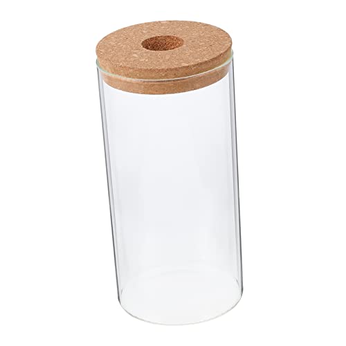UPKOCH Borosilikatglas Ökologischer Flasche Anlage Luftpflanzenterrarium Landschaftsbehälter Moos Landschaft Container Mikro-landschaftspflanzerflasche Landschaft Flasche Transparent von UPKOCH