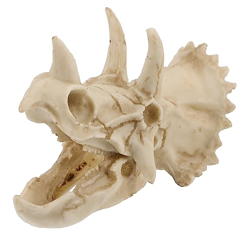 UPKOCH Dekoratives Dinosaurier Skelett für Aquarien Kreative Resin Fischversteck Höhle Unterwasser Dekoration für Fische Garnelen und Aquarienlandschaft UPKOCH Dekoratives Dinosaurier Skelett für Aquarien Kreative Resin Fischversteck Höhle Unterwasser Dekoration für Fische Garnelen und Aquarienlandschaft von UPKOCH