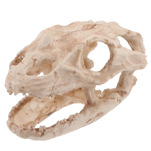 UPKOCH Dinosaurier Kopf Skelett Aquarium Dekoration aus Resin Kreatives Versteck für Reptilien und Fische für Aquarien und Fischbehälter Einfach zu Reinigen und UPKOCH Dinosaurier Kopf Skelett Aquarium Dekoration aus Resin Kreatives Versteck für Reptilien und Fische für Aquarien und Fischbehälter Einfach zu Reinigen und von UPKOCH