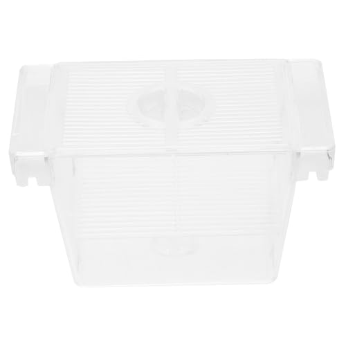 UPKOCH Fischzuchtbox Aquarium aus Robustem Einfache Installation Sichere Isolation für Babyfische und Betta Praktischer Laichkasten mit Netz Geeignet für Aquarien und Zuchtbecken von UPKOCH