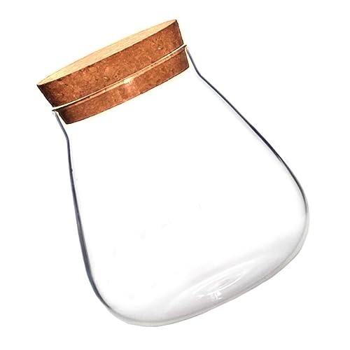 UPKOCH Glasvase Micro Landscape Terrarium mit Korkverschluss Transparentes Aufbewahrungsglas für DIY Dekoration Langlebiger Glasbehälter für Tisch Garten und Kerzenarrangements UPKOCH Glasvase Micro Landscape Terrarium mit Korkverschluss Transparentes Aufbewahrungsglas für DIY Dekoration Langlebiger Glasbehälter für Tisch Garten und Kerzenarrangements von UPKOCH