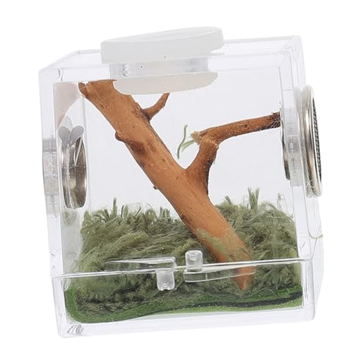 UPKOCH Reptilien Zuchtbox Aus Kunststoff Transparente Terrarium Box Für Spinnen Und Insekten Mit Belüftung Für Bessere Beobachtung Und Bequemes Futteren Mittlere Terrarium Für UPKOCH Reptilien Zuchtbox Aus Kunststoff Transparente Terrarium Box Für Spinnen Und Insekten Mit Belüftung Für Bessere Beobachtung Und Bequemes Futteren Mittlere Terrarium Für von UPKOCH