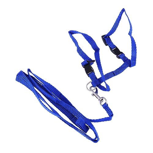 UPKOCH Katzengeschirr Mit Leine Verstellbares Haustier Zubehör Nylon Katzenhalsband Für Kätzchen Und Kleine Katzen Bequem Und Sicher von UPKOCH