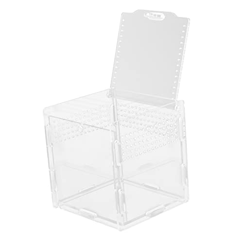UPKOCH Reptilien Terrarium Box Aus Kunststoff Transparente Zuchtbox Für Reptilien Mit Belüftungslöchern Geeignet Für Eidechsen Spinnen Skorpione Frösche Schnecken Grillen Geckos Und von UPKOCH