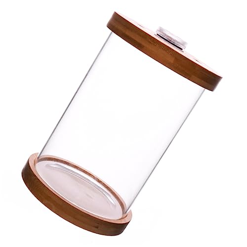 UPKOCH LED Mini Aquarium mit Holzdeckel Kleines Glasfischbecken für Tischdekoration für Fische und Garnelen mit LED Beleuchtung UPKOCH LED Mini Aquarium mit Holzdeckel Kleines Glasfischbecken für Tischdekoration für Fische und Garnelen mit LED Beleuchtung von UPKOCH
