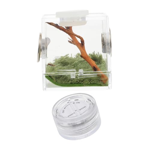 UPKOCH Mini Spider Habitat Box mit Beleuchtung Tragbarer Aufzucht und Fütterungsbehälter für Springspinnen und Kleine Insekten Durchsichtiges Terrarium mit Belüftung für Outdoor und von UPKOCH