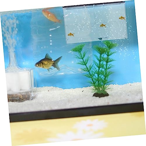 UPKOCH Multifunktionale Transparente Aufzuchtbox für Aquarium Isolierende Zuchtbox mit Abnehmbarem Trennwand Stabiler Fischbrutbehälter zur Fischzucht und Laichpflege Installieren UPKOCH Multifunktionale Transparente Aufzuchtbox für Aquarium Isolierende Zuchtbox mit Abnehmbarem Trennwand Stabiler Fischbrutbehälter zur Fischzucht und Laichpflege Installieren von UPKOCH
