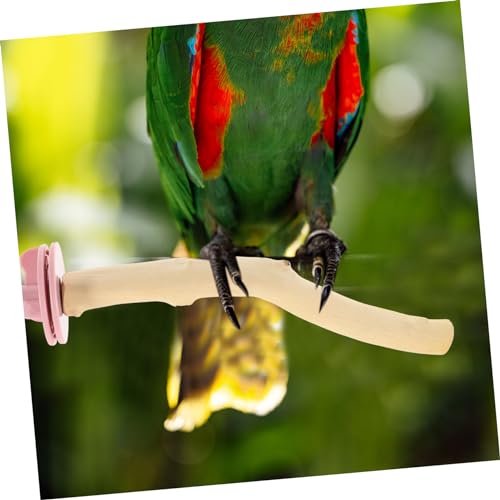 UPKOCH Natürliche Vogelstange aus Massivem Holz Robust und Verschleißfest Stabile Sitzstange für Papageien und Vögel Spielerisch Krallenpflege und Käfigdekoration Passend für Verschiedene UPKOCH Natürliche Vogelstange aus Massivem Holz Robust und Verschleißfest Stabile Sitzstange für Papageien und Vögel Spielerisch Krallenpflege und Käfigdekoration Passend für Verschiedene von UPKOCH