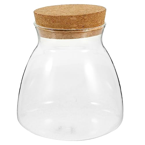UPKOCH Öko-flaschenornamente Anlage Transparenter Terrarienbehälter Geschlossenes Terrarium Pflanzen Landschaft Terrarium Wasserpflanzgefäß Wasser- Hydroponisches Terrarium Aquarium Eiche UPKOCH Öko-flaschenornamente Anlage Transparenter Terrarienbehälter Geschlossenes Terrarium Pflanzen Landschaft Terrarium Wasserpflanzgefäß Wasser- Hydroponisches Terrarium Aquarium Eiche von UPKOCH