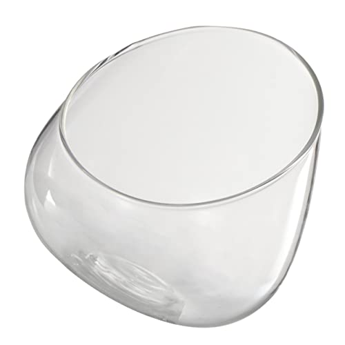 UPKOCH Ökologische Glasflasche Terrarium für Moos Mikrolandschaften Multifunktionale Aufbewahrung Stabiles Transparentes Pflanzengefäß für Küche und Zuhause von UPKOCH