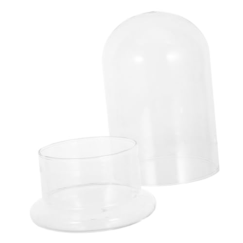 UPKOCH Ökologische Mikrolandschaftsflasche Durchsichtige Blumentöpfe Durchsichtige Gefäße Für Pflanzen Glasterrarium Pflanzgefäß Kleines Terrariumglas Fischtanks Für Den von UPKOCH