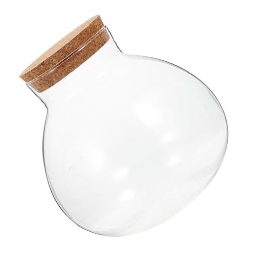 UPKOCH Ökologische Mikrolandschaftsflasche Ökosystemflasche Moos-landschaftsbauflasche Luftpflanzenglas Saftiges Terrarium Dekoratives Glas Knospenglas Nachrichtenglas Kork Transparent von UPKOCH