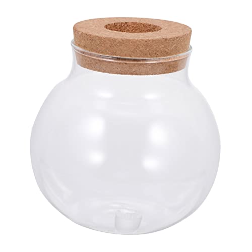 UPKOCH Glas Terrarium Mit Deckel DIY Mikro Landschaft Flasche Für Fische Und Pflanzen Kreative Ökologisches Design Für Einfache Dekoration UPKOCH Glas Terrarium Mit Deckel DIY Mikro Landschaft Flasche Für Fische Und Pflanzen Kreative Ökologisches Design Für Einfache Dekoration von UPKOCH