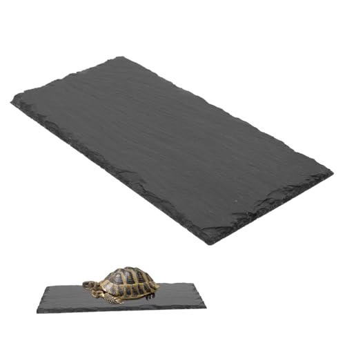 UPKOCH Reptil Schildkröte Schiefer klein für Reptilien Schildkrötenfutter Platte Felsen schildkröten zubehör Reptilien zubehör Futterbecken aus Stein Essensteller Futterteller Grey von UPKOCH