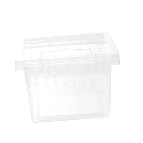 UPKOCH Reptil Zuchtbox Aus Kunststoff Transparente Fütterungsbox Für Schildkröten Spinnen Schlangen Und Skorpione Mit Lüftungsöffnungen Und Tragbar Für Außeneinsatz von UPKOCH