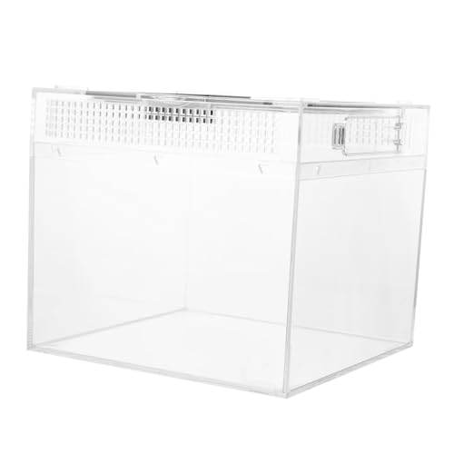 UPKOCH Reptilien Fütterungsbox mit Belüftung und Transparentem Gehäuse Magnetischem Schiebedeckel Geeignet für Schildkröten Vogelspinnen Eidechsen und Kleine Kleintiere Pflegeleicht und UPKOCH Reptilien Fütterungsbox mit Belüftung und Transparentem Gehäuse Magnetischem Schiebedeckel Geeignet für Schildkröten Vogelspinnen Eidechsen und Kleine Kleintiere Pflegeleicht und von UPKOCH