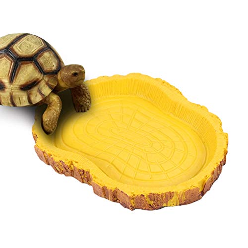 UPKOCH Reptilien Futterschüssel Aus Rutschfestem Material Tiernahrungsschale Für Schildkröten Eidechsen Und Spinnen Wasser Und Futterplatte Für Aquarien Und Terrarien von UPKOCH