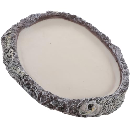 UPKOCH Reptilien Wasserschale Für Bärtige Drachen Und Eidechsen Hochwertige Futterschale Aus Robustem Material Für Terrarien Und Lebensmittelhalter Fördert von UPKOCH