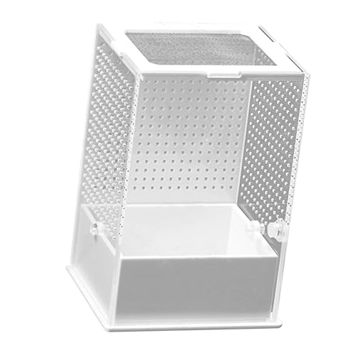 UPKOCH Reptilien Zuchtbox Transparent mit Futter und Aufzuchtbox für Kleine Reptilien Spinnen Geckos und Krustentiere Pflegeleichtes Terrarium UPKOCH Reptilien Zuchtbox Transparent mit Futter und Aufzuchtbox für Kleine Reptilien Spinnen Geckos und Krustentiere Pflegeleichtes Terrarium von UPKOCH