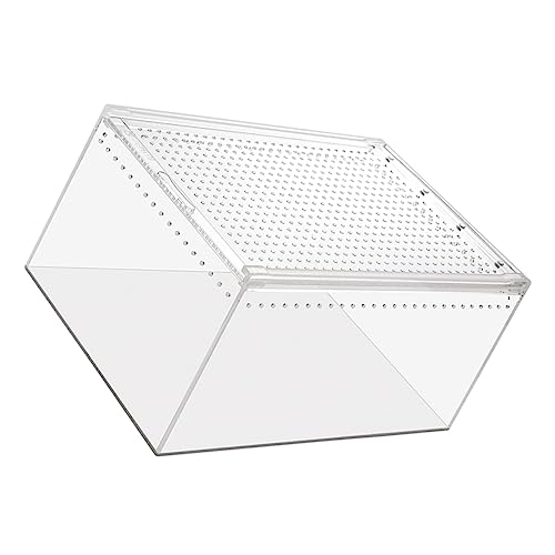 UPKOCH Reptilienkäfig Transparente Züchterbox für Frösche Spinnen Skorpione Schlangen und Multifunktionale Insektenbox mit Optimaler Belüftung UPKOCH Reptilienkäfig Transparente Züchterbox für Frösche Spinnen Skorpione Schlangen und Multifunktionale Insektenbox mit Optimaler Belüftung von UPKOCH