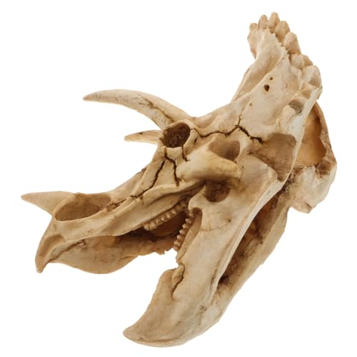 UPKOCH Resin Dinosaur Skull Versteck Höhle für Schildkröten Aquarium Dekoration Kunstharz Unterschlupf für Reptilien und Fische Langlebig und Natürlich Gestaltet UPKOCH Resin Dinosaur Skull Versteck Höhle für Schildkröten Aquarium Dekoration Kunstharz Unterschlupf für Reptilien und Fische Langlebig und Natürlich Gestaltet von UPKOCH