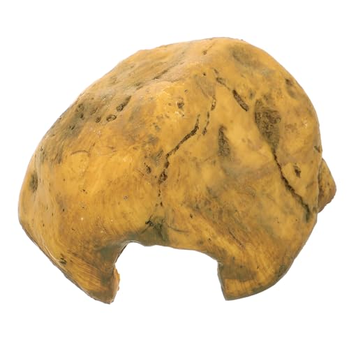 UPKOCH Simulation Versteckhöhle für Schildkröten Resinhöhle für Reptilien Dekoration für Aquarien und Terrarien Sicheres Rückzugsort für Tiere und Ansprechende Tankgestaltung UPKOCH Simulation Versteckhöhle für Schildkröten Resinhöhle für Reptilien Dekoration für Aquarien und Terrarien Sicheres Rückzugsort für Tiere und Ansprechende Tankgestaltung von UPKOCH