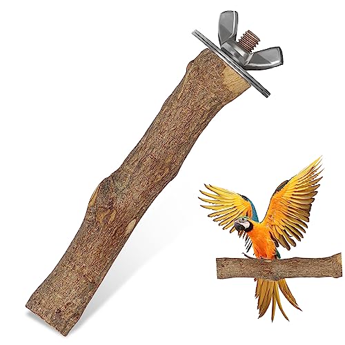 UPKOCH Holz Sitzstange Für Vögel Natürlicher Vogelperch Stand Geeignet Für Papageien Wellensittiche Und Nymphensittiche Pflege Für Gesunde Füße Und Spielmöglichkeiten Durchmesser von UPKOCH