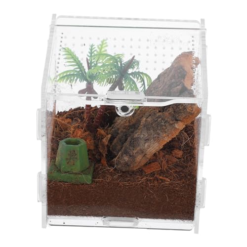 UPKOCH Spinnenbox Für Haustiere Terrarium Gehege Für Springspinnen Käfig Für Springspinnen Lebensraum Für Springspinnen Grillenkäfig Vogelspinnenzubehör Eidechsenbecken Zubehör von UPKOCH