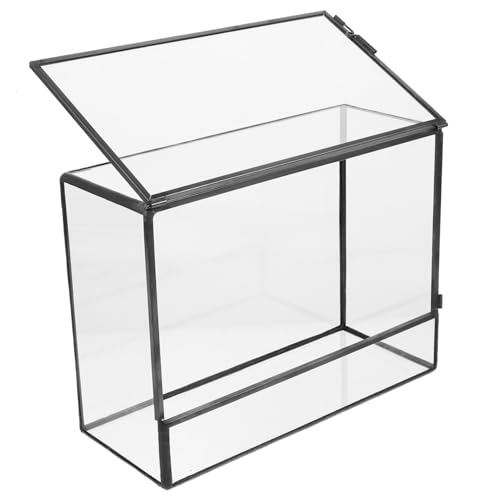 UPKOCH Terrarium Landschaft Behälter Moss Ecological Holder DIY Mini Ökosystem für Wohnzimmer Büro Langlebig Transparent Vielseitig Einsetzbar UPKOCH Terrarium Landschaft Behälter Moss Ecological Holder DIY Mini Ökosystem für Wohnzimmer Büro Langlebig Transparent Vielseitig Einsetzbar von UPKOCH