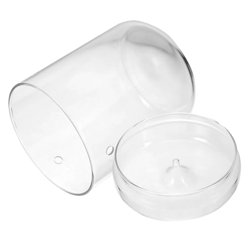 UPKOCH Terrarium für Pflanzen Ökosystem Vase für Tischdeko Garten Mehrzweck Glasbehälter für Pflanzen und Dekoration Langlebiges Material zu Reinigen von UPKOCH