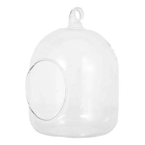 UPKOCH Terrarium mit Moos Kleines Hydroponisches Pflanzgefäß Dekorative Miniatur Flaschengarten Vase für Büro Schreibtisch und Kleine Räume Langlebig und Tragbar UPKOCH Terrarium mit Moos Kleines Hydroponisches Pflanzgefäß Dekorative Miniatur Flaschengarten Vase für Büro Schreibtisch und Kleine Räume Langlebig und Tragbar von UPKOCH