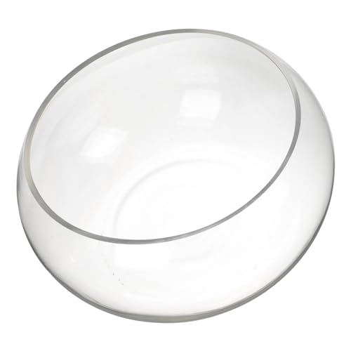 UPKOCH Transparente Glasfischschale für Goldfische und Pflanzen Hydrokultur Aquarium für Dekoration und Beobachtung von Fischen UPKOCH Transparente Glasfischschale für Goldfische und Pflanzen Hydrokultur Aquarium für Dekoration und Beobachtung von Fischen von UPKOCH