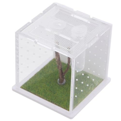 UPKOCH Transparente Kunststoff Zuchtbox für Springspinnen mit Futteröffnung Belüftung und Vielseitigem Insekten Reptilienhabitat zur Beobachtung und Sicheren Haltung Kleiner Tiere von UPKOCH