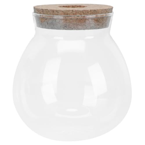 UPKOCH Transparente Mikrolandschaft Glasflasche mit Stopfen Kompakter Moos Ökoflaschengarten Stilvolles Terrarium für Tischdekoration Vielseitig Nutzbar Platzsparend und Tragbar von UPKOCH
