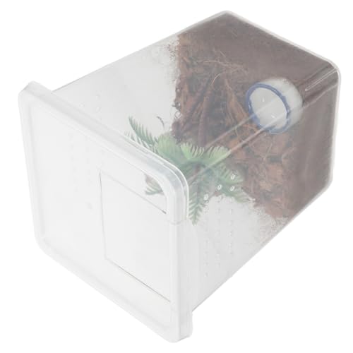 UPKOCH Transparente Spinnenbox aus Kunststoff Ausbruchssicher Platzsparend Kleine Terrarien Aufzuchtbox für Springspinnen und Kleine Haustier Spinnen Einfache für Spinnenzucht und von UPKOCH
