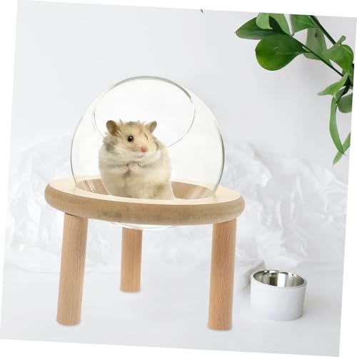 UPKOCH Transparenter Hamster badebehälter Praktisches Kleintier badezimmerzubehör Vielseitiger Haushalts Container für Hamsterbadewanne Robust Leicht zu Reinigen für Kleine Haustiere von UPKOCH