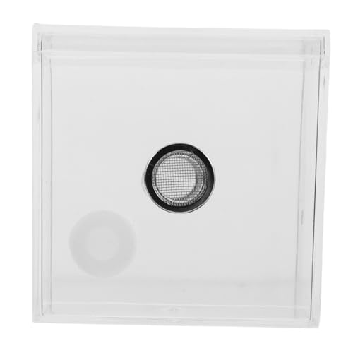 UPKOCH Transparentes Insekten Terrarium Anpassbare Futterbox für Springspinnen und Grillen Insektengehege für Innen und Außenbereich Beobachtung und Einfache Pflege UPKOCH Transparentes Insekten Terrarium Anpassbare Futterbox für Springspinnen und Grillen Insektengehege für Innen und Außenbereich Beobachtung und Einfache Pflege von UPKOCH