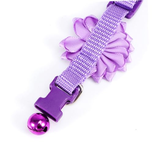 UPKOCH Verstellbares Katzenhalsband mit Blüten Design und Glocke Kreatives Langlebiges Haustierzubehör für Katzen und Kleine Hunde Modisch und Praktisch für Alltag UPKOCH Verstellbares Katzenhalsband mit Blüten Design und Glocke Kreatives Langlebiges Haustierzubehör für Katzen und Kleine Hunde Modisch und Praktisch für Alltag von UPKOCH
