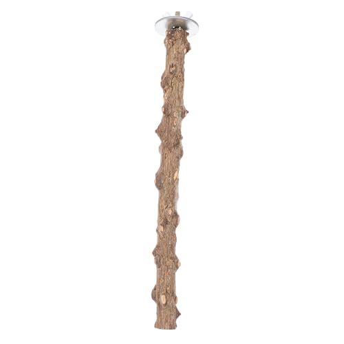 UPKOCH Vogel Papageien Kauspielzeug Holz Sitzstange Natürliches Material für Wellensittiche Sittiche Käfigzubehör Sichere Oberfläche zur Krallenpflege und Ruheplatz UPKOCH Vogel Papageien Kauspielzeug Holz Sitzstange Natürliches Material für Wellensittiche Sittiche Käfigzubehör Sichere Oberfläche zur Krallenpflege und Ruheplatz von UPKOCH