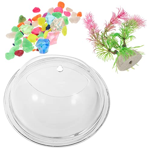 UPKOCH Wandmontierte Vase Dekorativer Fischtank für Transparente Wasserpflanzen Kreatives Wandaccessoire für Pflanzen UPKOCH Wandmontierte Vase Dekorativer Fischtank für Transparente Wasserpflanzen Kreatives Wandaccessoire für Pflanzen von UPKOCH