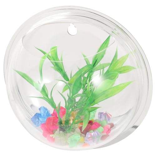 UPKOCH Wandvase für Transparente Dekovase für Pflanzen Kreatives Wandpflanzgefäß aus Blumenarrangements und Aquarien Dekoration zu Installieren und Langlebig UPKOCH Wandvase für Transparente Dekovase für Pflanzen Kreatives Wandpflanzgefäß aus Blumenarrangements und Aquarien Dekoration zu Installieren und Langlebig von UPKOCH