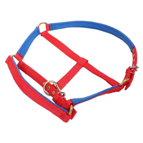 UPKOCH Zaumzeug Nylon Pferdehalfter Verschleißfester Halfter Reitpferdehalfter Trainingsbedarf Pferdezubehör Tragbares Pferdehalfter Hobbypferdezubehör Halfter Rotes Geflochtenes Pp Band UPKOCH Zaumzeug Nylon Pferdehalfter Verschleißfester Halfter Reitpferdehalfter Trainingsbedarf Pferdezubehör Tragbares Pferdehalfter Hobbypferdezubehör Halfter Rotes Geflochtenes Pp Band von UPKOCH