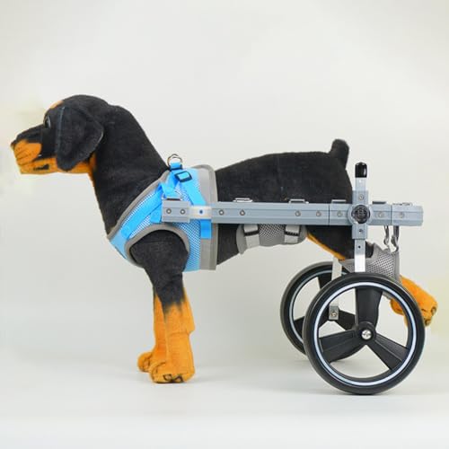 UPWONEC Dog Rollstuhl Hinterbeinstütze, Hind-Glied-Behinderung Zweiräder Rollstuhl, Ältere Hundeleistung Scooter, Weiche Stütze, Einfache Montage,L UPWONEC Dog Rollstuhl Hinterbeinstütze, Hind-Glied-Behinderung Zweiräder Rollstuhl, Ältere Hundeleistung Scooter, Weiche Stütze, Einfache Montage,L von UPWONEC