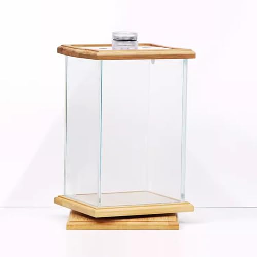 UPWONEC HD -Glas Natürlicher Fischtank, Bürodesktop Rotierende Betta Fischaquarium, 360 ° Rotatable Bambus Betta Fischtank, Rechteckige Transparente Goldfischschale, Acryldeckel Mit Fütterungsloch UPWONEC HD -Glas Natürlicher Fischtank, Bürodesktop Rotierende Betta Fischaquarium, 360 ° Rotatable Bambus Betta Fischtank, Rechteckige Transparente Goldfischschale, Acryldeckel Mit Fütterungsloch von UPWONEC